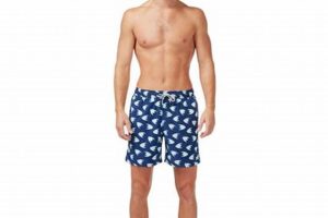 Learn to Swim with Tom & Teddy's Guide | Teddy Information – Everything You Need to Know About Teddy Bears