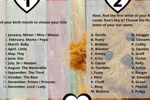 Cute Teddy Bear Name Generator: Find the Perfect Name | Teddy Information – Everything You Need to Know About Teddy Bears