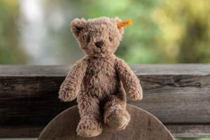 Classic Tommy and Teddy Bears for Kids | Teddy Information – Everything You Need to Know About Teddy Bears