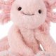 Cuddly Vermont Teddy Bear Axolotl Plush | Teddy Information – Everything You Need to Know About Teddy Bears