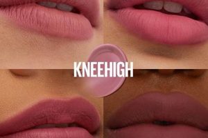 Cozy Teddy Tint Knee Highs for Fall | Teddy Information – Everything You Need to Know About Teddy Bears