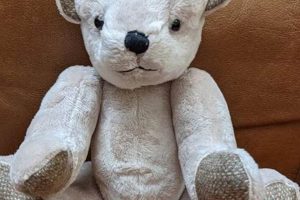 Crafty DIY Teddy Bear Kits & Supplies | Teddy Information – Everything You Need to Know About Teddy Bears