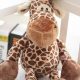 Cuddly Giraffe Teddy Bears: Soft & Huggable | Teddy Information – Everything You Need to Know About Teddy Bears