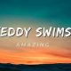 Adorable Teddy Swims: A Plush Pool Party | Teddy Information – Everything You Need to Know About Teddy Bears