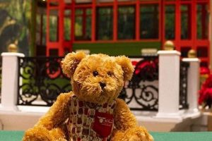 Cute Teddy Bear Tea Party Events 2024 | Teddy Information – Everything You Need to Know About Teddy Bears
