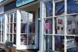 Antique Teddy Bear Skins & Repair in Wickford, RI | Teddy Information – Everything You Need to Know About Teddy Bears