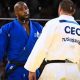 Epic Judo Clash: Riner vs Tushishvili | Teddy Information – Everything You Need to Know About Teddy Bears