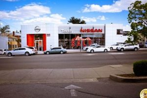 Find Teddy at Nissan Bronx NY | Your Car Awaits | Teddy Information – Everything You Need to Know About Teddy Bears