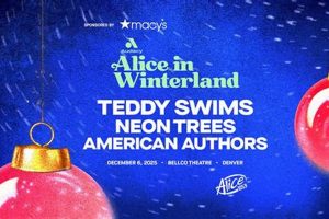 Teddy Swims Denver Co | Teddy Information – Everything You Need to Know About Teddy Bears