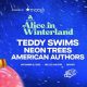 Teddy Swims Denver Co | Teddy Information – Everything You Need to Know About Teddy Bears