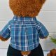 Cozy Teddy Bear Trousers for Winter | Teddy Information – Everything You Need to Know About Teddy Bears