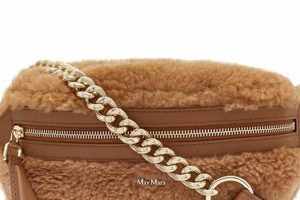 Cozy Max Mara Teddy Bag: Luxe & Chic | Teddy Information – Everything You Need to Know About Teddy Bears