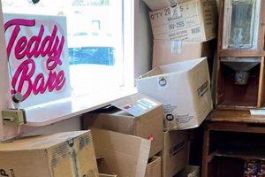 Cuddly Teddy Bears in Bartlesville, OK: Shop Local! | Teddy Information – Everything You Need to Know About Teddy Bears