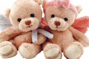 Cute Teddy Bear Angel Plush Toys & Gifts | Teddy Information – Everything You Need to Know About Teddy Bears