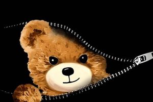 Top Teddy Bear Zipper Repair & Replacement Guide | Teddy Information – Everything You Need to Know About Teddy Bears