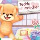 My Teddy Together 3DS Adventure | Teddy Information – Everything You Need to Know About Teddy Bears