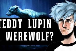 Is Teddy Lupin a Werewolf? Fact Check & Details Teddy Information – Everything You Need to Know About Teddy Bears Is Teddy Lupin a Werewolf? Fact Check & Details | Teddy Information – Everything You Need to Know About Teddy Bears