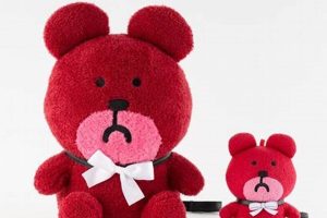 Adventure of Earthbound Teddy: Homebound Tales | Teddy Information – Everything You Need to Know About Teddy Bears