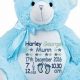 Personalized Birth Teddy Bears: Newborn Gifts | Teddy Information – Everything You Need to Know About Teddy Bears