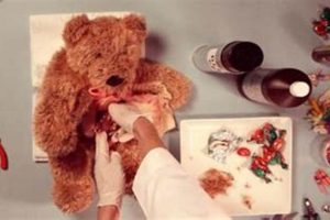 My Teddy Bear's Surgery & Recovery | Teddy Information – Everything You Need to Know About Teddy Bears