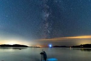 Magical Teddy Bear Cove Bioluminescence at Night Teddy Information – Everything You Need to Know About Teddy Bears Magical Teddy Bear Cove Bioluminescence at Night | Teddy Information – Everything You Need to Know About Teddy Bears