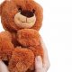 Cuddly Teddy El Osito Bears: Shop Now | Teddy Information – Everything You Need to Know About Teddy Bears
