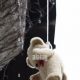 How to Safely Hang a Teddy Bear in a Nursery | Teddy Information – Everything You Need to Know About Teddy Bears