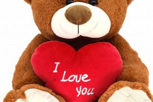 Valentines Teddy Bears | Teddy Information – Everything You Need to Know About Teddy Bears