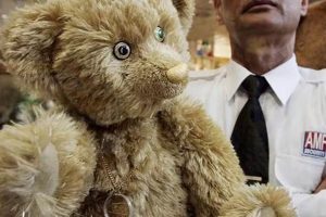 Luxury Teddy Bears: Price & Guide | Teddy Information – Everything You Need to Know About Teddy Bears