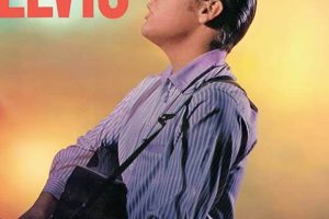 Classic Ready Teddy Lyrics & Song Meaning | Teddy Information – Everything You Need to Know About Teddy Bears