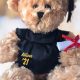 Cute Graduation Teddy Bears: Class of 2024 Gifts | Teddy Information – Everything You Need to Know About Teddy Bears