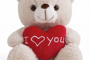 Cuddly Teddy Bears: Perfect Gifts for Your Girlfriend | Teddy Information – Everything You Need to Know About Teddy Bears