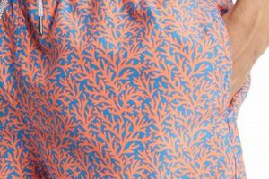 Premium Tom & Teddy Swim Trunks: Beach Ready | Teddy Information – Everything You Need to Know About Teddy Bears