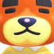 Cuddly Teddy Bears in Animal Crossing: A Guide | Teddy Information – Everything You Need to Know About Teddy Bears