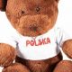 Polish Teddy Bear: Mi Meaning & More | Teddy Information – Everything You Need to Know About Teddy Bears
