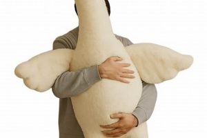 Premium Top Teddy Bear Collection Guide | Teddy Information – Everything You Need to Know About Teddy Bears