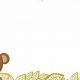 Cute Blank Teddy Bear Invitation Templates & Designs | Teddy Information – Everything You Need to Know About Teddy Bears