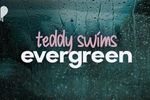 Teddy Swims Evergreen: Lyrics & Meaning | Teddy Information – Everything You Need to Know About Teddy Bears