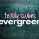 Teddy Swims Evergreen: Lyrics & Meaning | Teddy Information – Everything You Need to Know About Teddy Bears