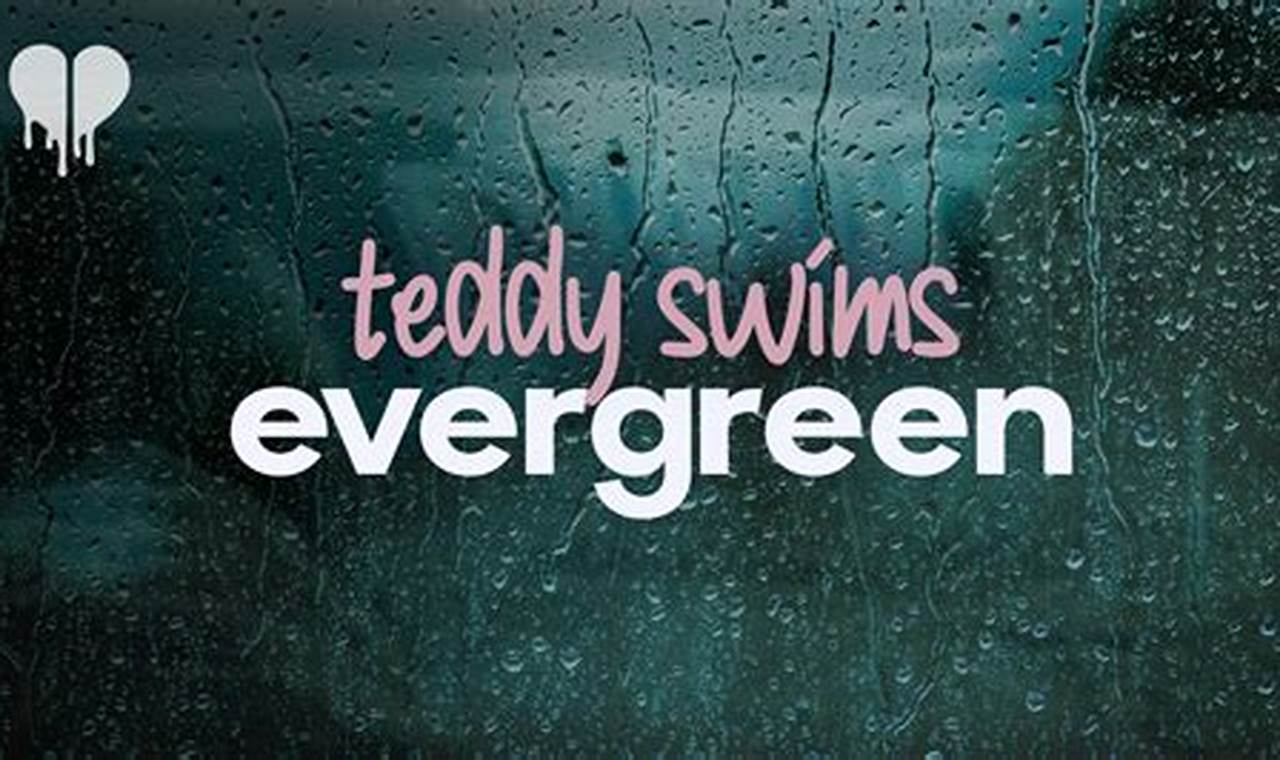 Teddy Swims Evergreen: Lyrics & Meaning Teddy Information – Everything You Need to Know About Teddy Bears Teddy Swims Evergreen: Lyrics & Meaning | Teddy Information – Everything You Need to Know About Teddy Bears