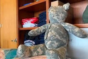 Find Makers of Military Uniform Teddy Bears Teddy Information – Everything You Need to Know About Teddy Bears Find Makers of Military Uniform Teddy Bears | Teddy Information – Everything You Need to Know About Teddy Bears