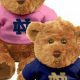 Cuddly Notre Dame Teddy Bears: Shop Now! | Teddy Information – Everything You Need to Know About Teddy Bears