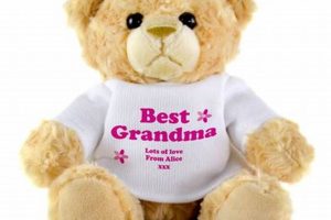 Grandma's Beloved Teddy Bear: A Timeless Gift | Teddy Information – Everything You Need to Know About Teddy Bears