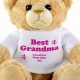 Grandma's Beloved Teddy Bear: A Timeless Gift | Teddy Information – Everything You Need to Know About Teddy Bears