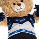 Cheer Teddy Bears: Plush Comfort & Team Spirit | Teddy Information – Everything You Need to Know About Teddy Bears