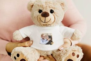 Cuddly Surprise Teddy Bear Gift | Teddy Information – Everything You Need to Know About Teddy Bears