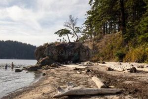Discover Teddy Bear Cove, Bellingham WA: A Hidden Gem Teddy Information – Everything You Need to Know About Teddy Bears Discover Teddy Bear Cove, Bellingham WA: A Hidden Gem | Teddy Information – Everything You Need to Know About Teddy Bears