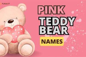 Cute Pink Teddy Bear Names: Find the Perfect One | Teddy Information – Everything You Need to Know About Teddy Bears