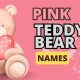 Cute Pink Teddy Bear Names: Find the Perfect One | Teddy Information – Everything You Need to Know About Teddy Bears