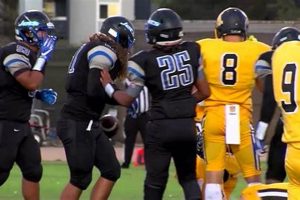 Discovering Teddy Oliver Alameda: A Local History | Teddy Information – Everything You Need to Know About Teddy Bears